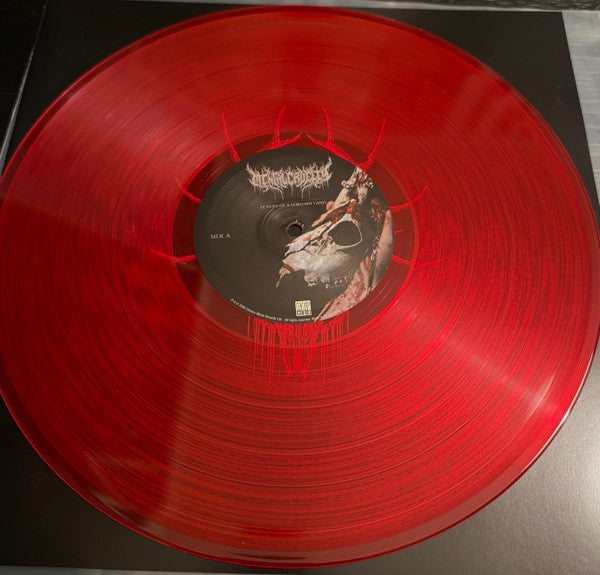 MENTAL CRUELTY – Echoes Of A Forlorn Land LP (Bloodlust Transparent Red)